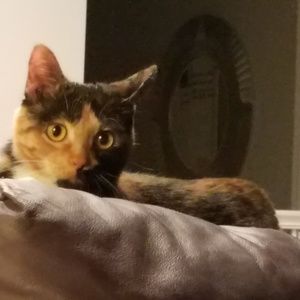 Meet your Posher, Kim